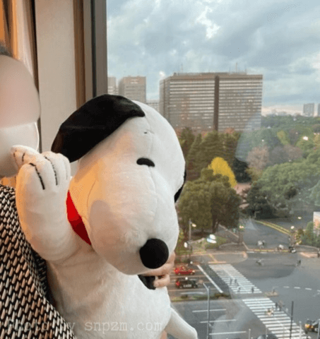 帝国ホテル東京の部屋の窓を覗くと、緑豊かな日比谷公園が見える。スヌーピーのぬいぐるみも景色を見て興奮している